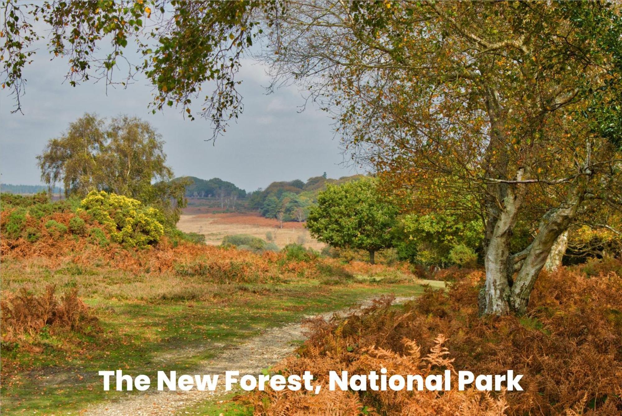 Cosy Retreat Near New Forest Ellingham  Esterno foto